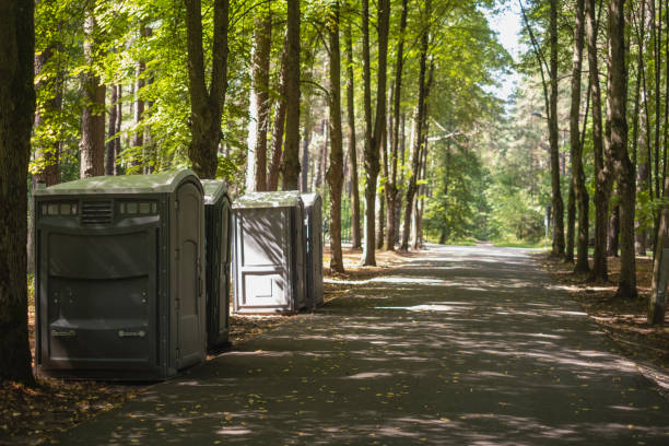 Portable Toilet Options We Offer in Mayville, WI